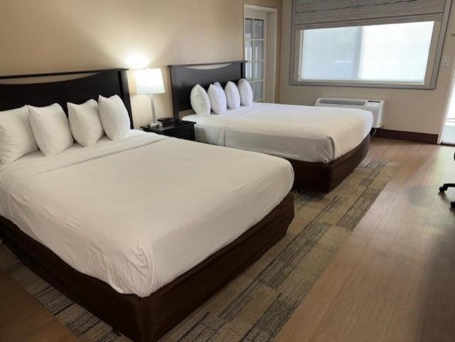 Stanford Inn & Suites Anaheim Exteriér fotografie